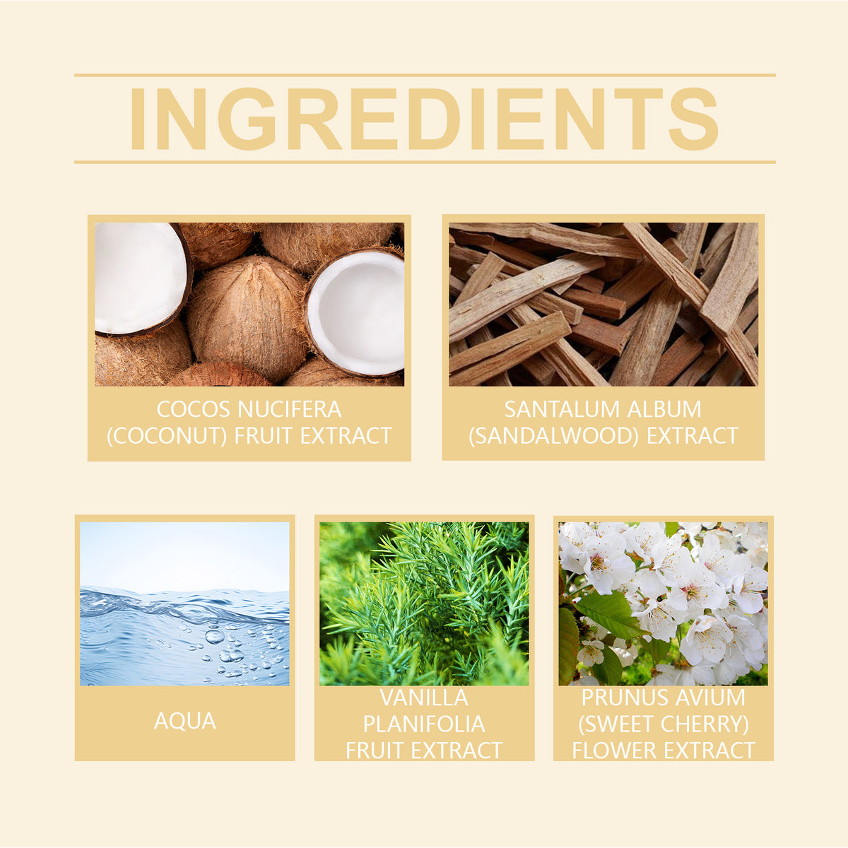 Body Spray - Vanilla Coconut Fragrance
