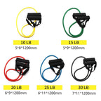 Progressive Resistance Bands – Pull Rope Training Set