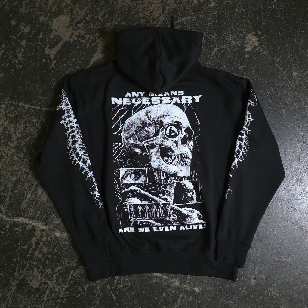 Are We Even Alive Pullover Hoodie Black - product view 1