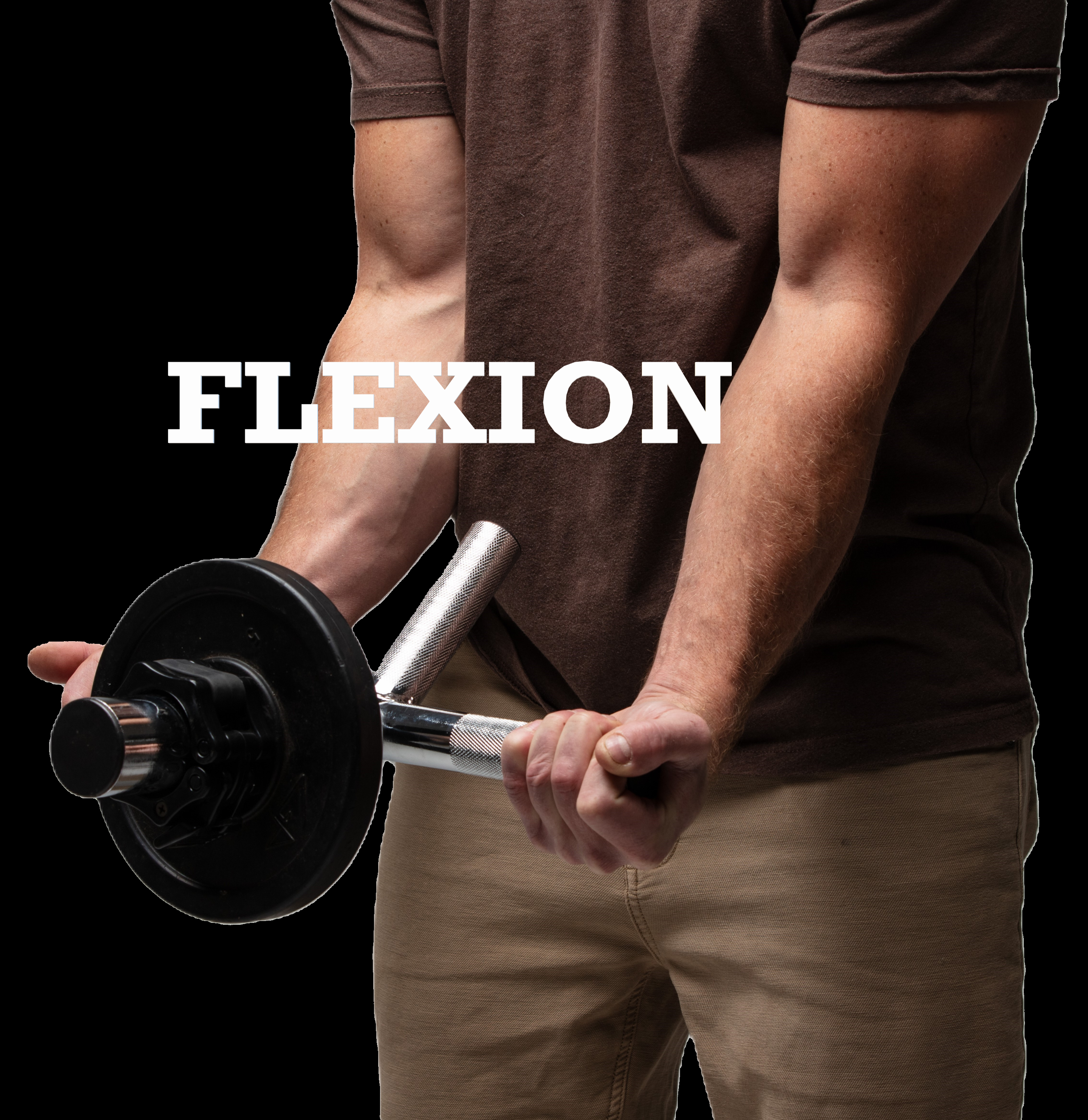 Forearm & Wrist Trainer – Plate – Loaded Bar