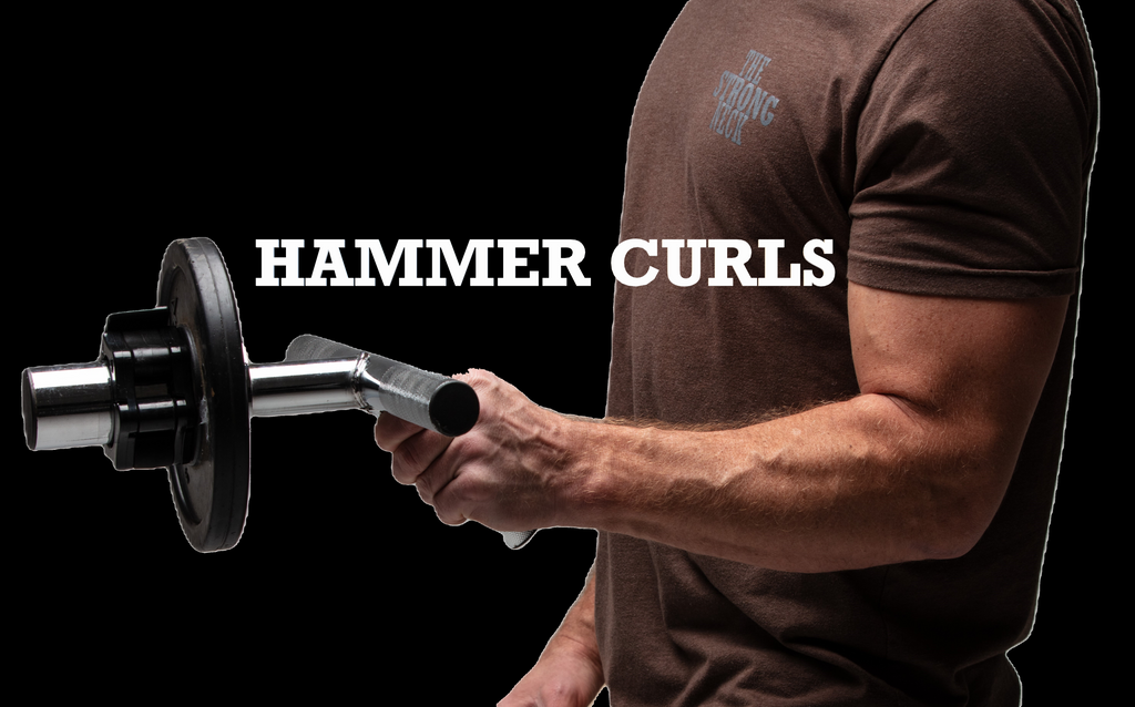 Forearm & Wrist Trainer – Plate – Loaded Bar