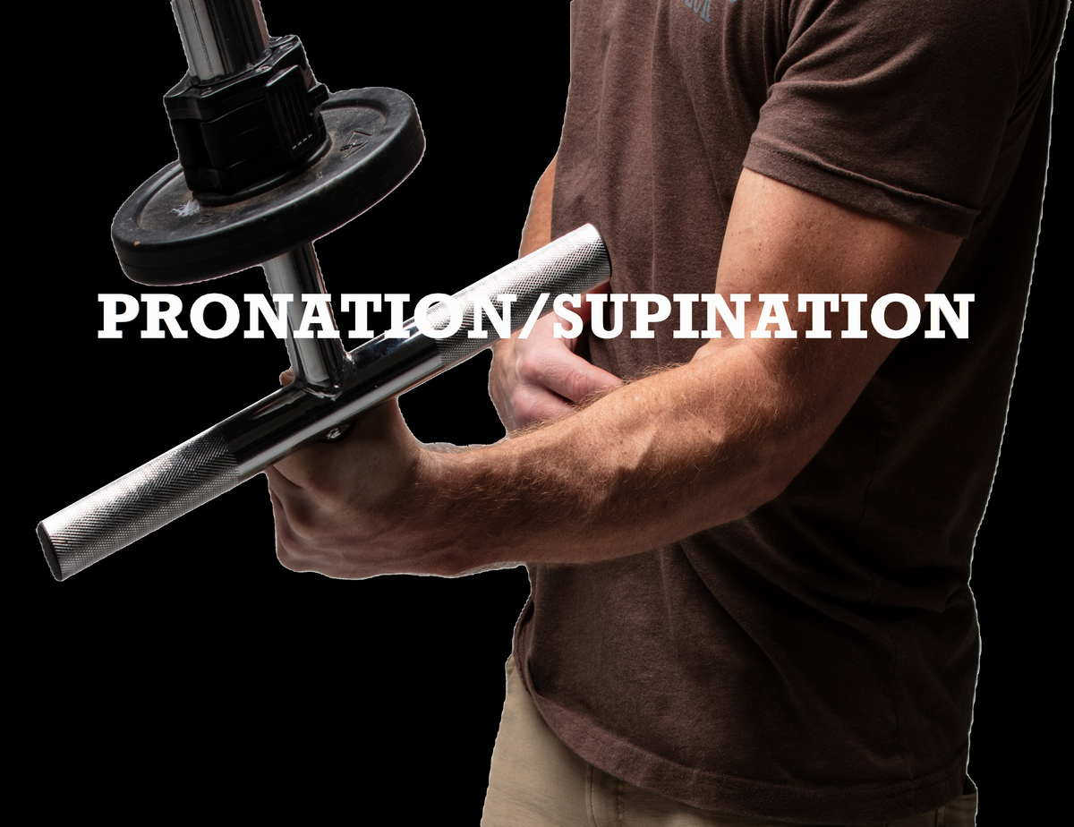 Forearm & Wrist Trainer – Plate – Loaded Bar