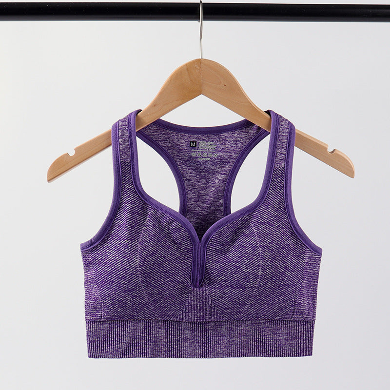 Women's Sports Bra - Wireless Moisture-Wicking Top