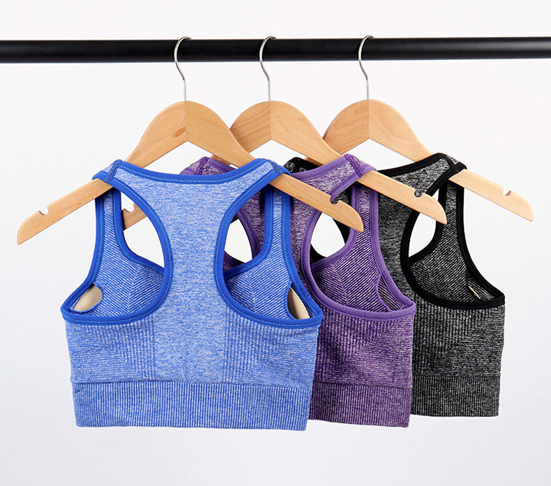 Women's Sports Bra - Wireless Moisture-Wicking Top