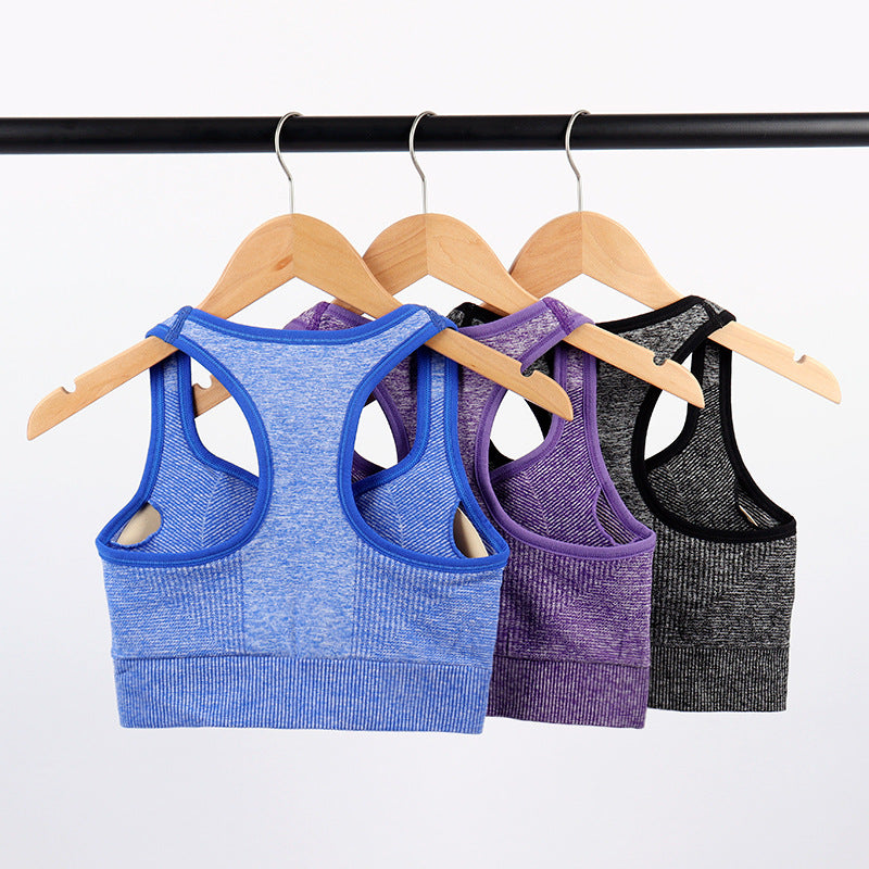Women's Sports Bra - Wireless Moisture-Wicking Top
