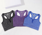 Women's Sports Bra - Wireless Moisture-Wicking Top