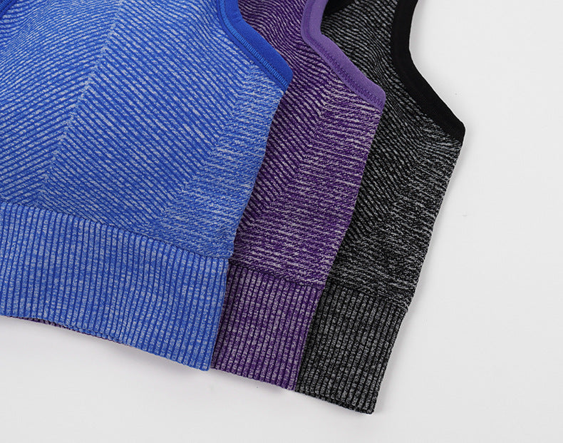 Women's Sports Bra - Wireless Moisture-Wicking Top
