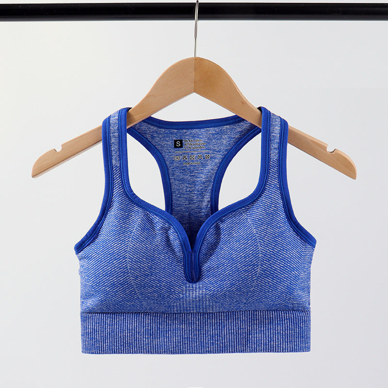 Women's Sports Bra - Wireless Moisture-Wicking Top