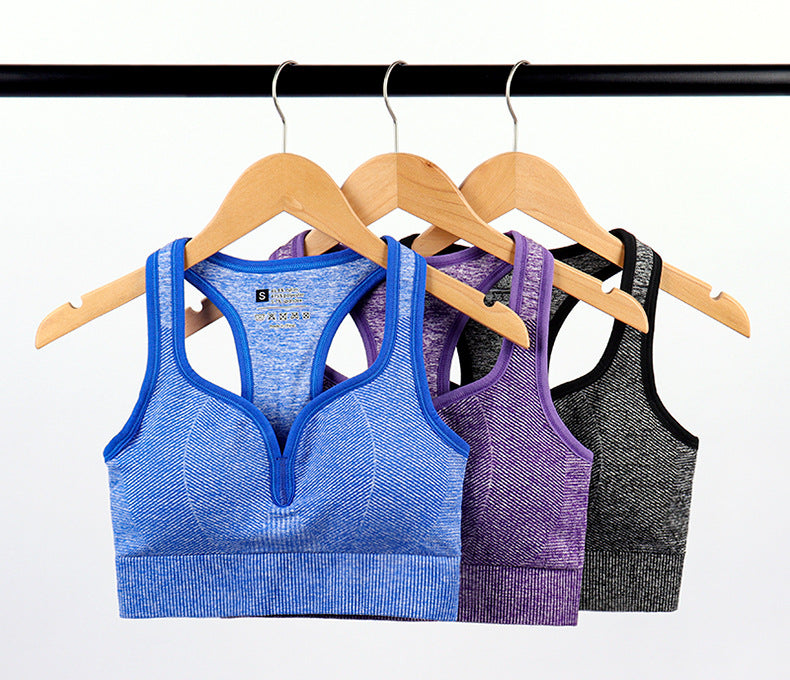 Women's Sports Bra - Wireless Moisture-Wicking Top
