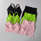 Women's Activewear Set – V – Back Sports Bra & Shorts