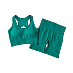 Women's Workout Set – High – Waist Seamless
