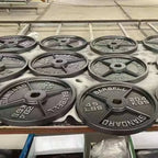 Gym Equipment Discs Barbell Plates Fitness 45lb Weight Plates for GymEstaliosFitEstaliosFit184081815;20260429;1777457512S5FWm