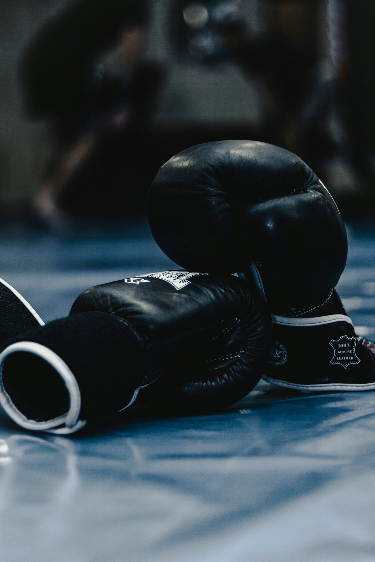 MMA Gloves - 4 oz Competition-Style Pair