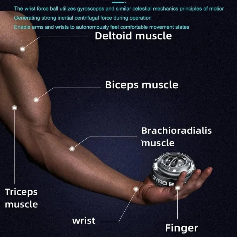 Powerball Forearm Exerciser Muscle Fitness Equipment Gyroscope Power Ball Gyro Wrist Booster Trainer Hand ExerciseEstaliosFitEstaliosFit184081788;20260429;177745750736OzF
